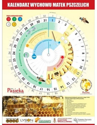 Kalendarz do wychowu matek pszczelich