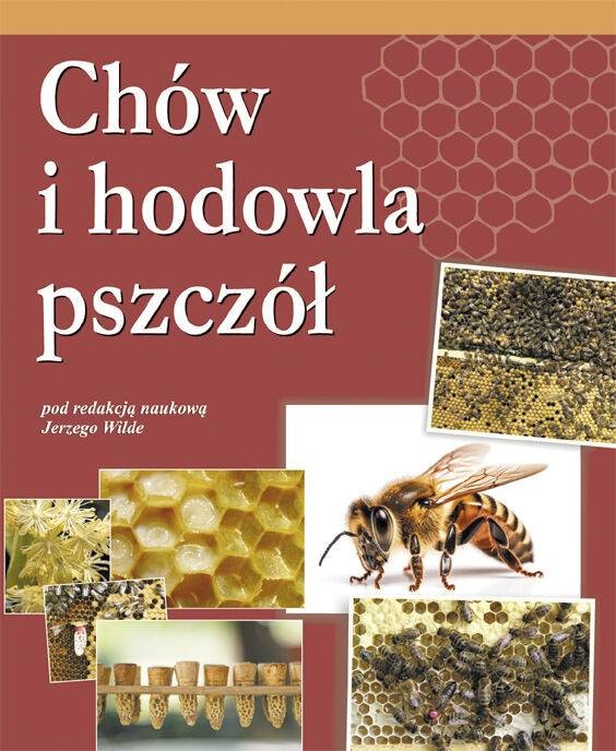 Paczka etykiet na miód ze spadzi liścia116x50 (100 szt.)