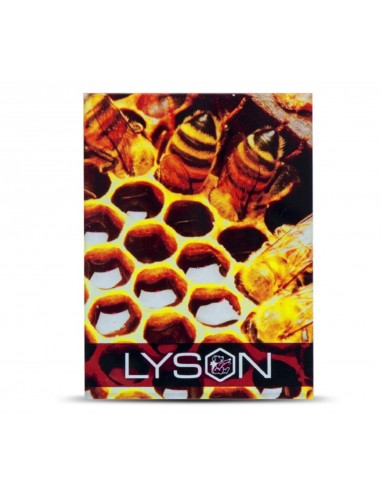 Magnes z pleksi Lyson pszczoły zanurzone w plastrze