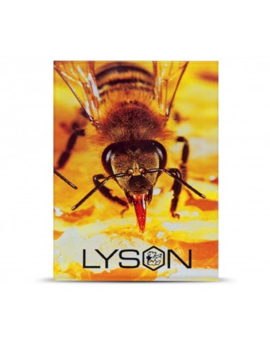 Magnes z pleksi Lyson pszczoła