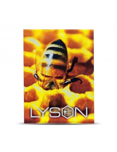 Magnes z pleksi Lyson pszczoła zanurzona w komórce