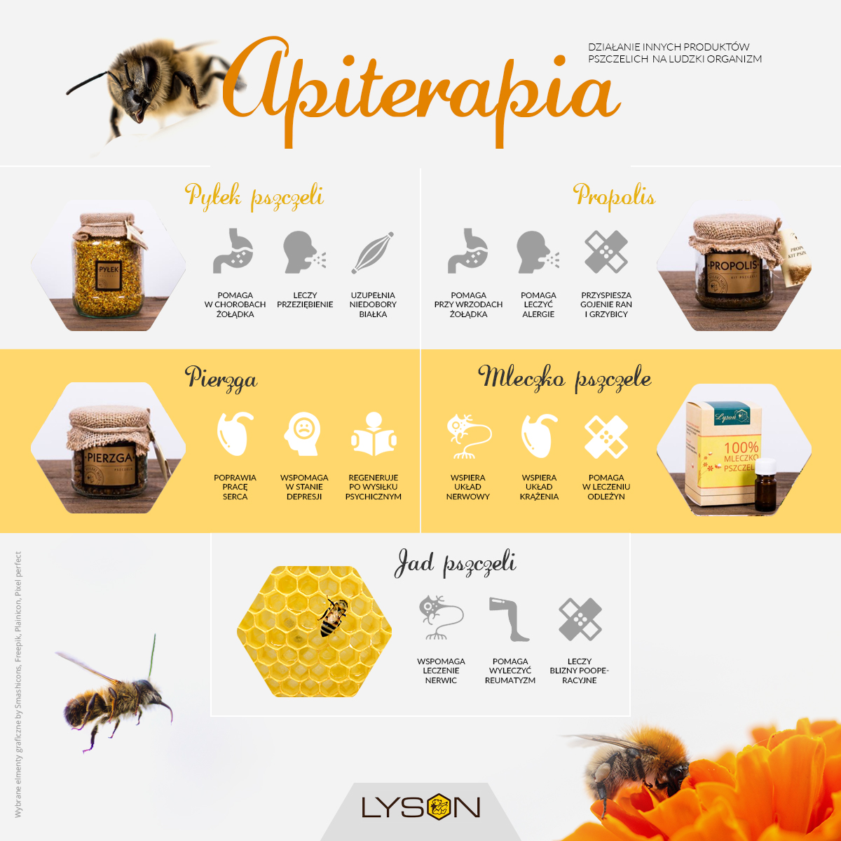 Apiterapia - działanie innych produktów pszczelich