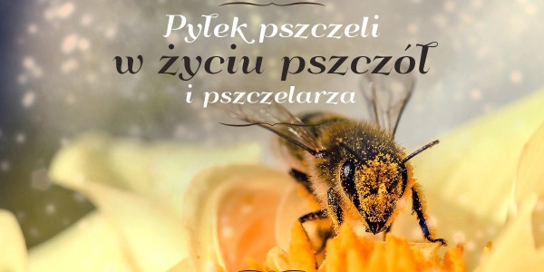 Pyłek pszczeli w życiu pszczół i pszczelarza