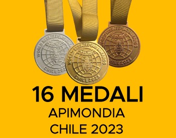 Apimondia Chile 2023: Grupa LYSON zdobywa liczne medale, dumnie reprezentując Polskę!