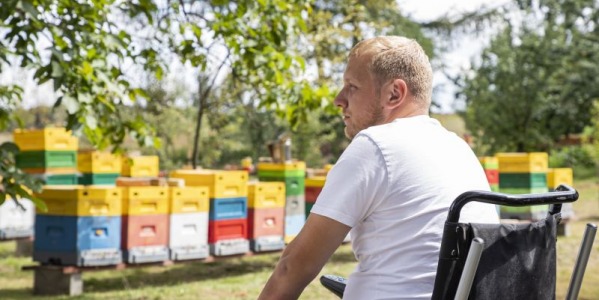 Niepełnosprawność – czy to przeszkoda w pszczelarstwie?