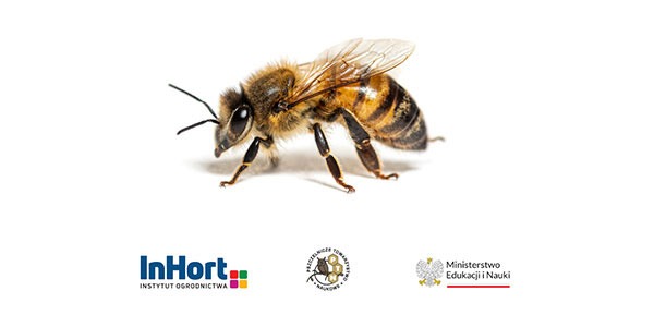 61. Naukowa Konferencja Pszczelarska 