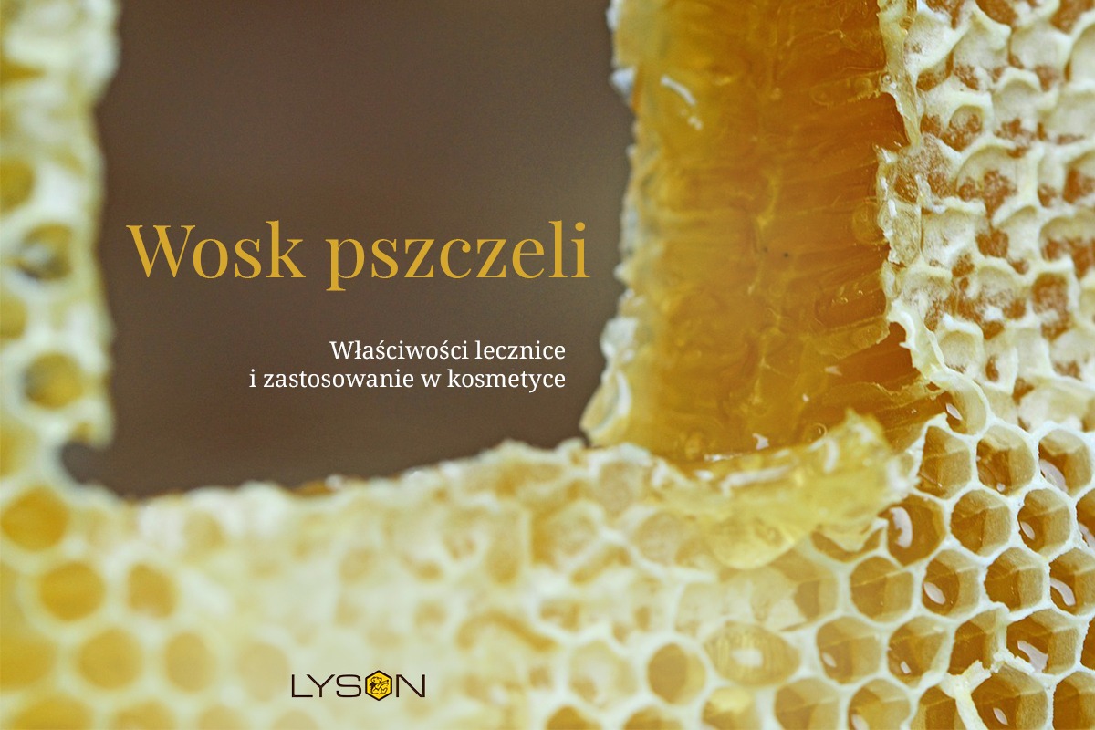 Wosk pszczeli – właściwości lecznicze i zastosowanie w kosmetyce