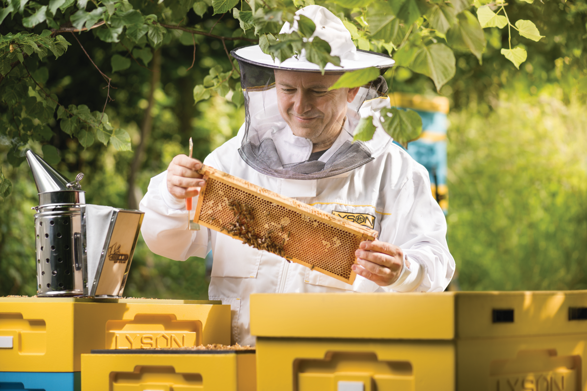 Rola ciasta w karmieniu i stymulacji rozwoju pszczół – przegląd produktów z serii Apikand